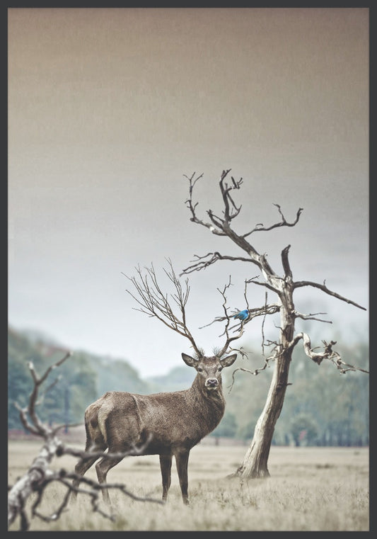  Herten en bomen in de winteraffiche