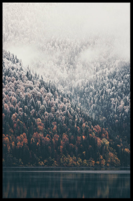  Foggy Forest Lake-poster