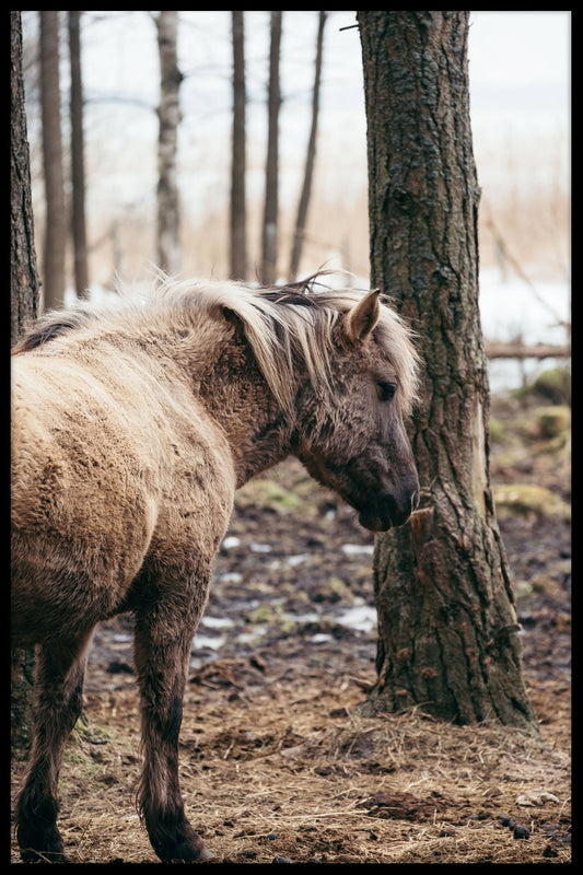  Wild paardenposter