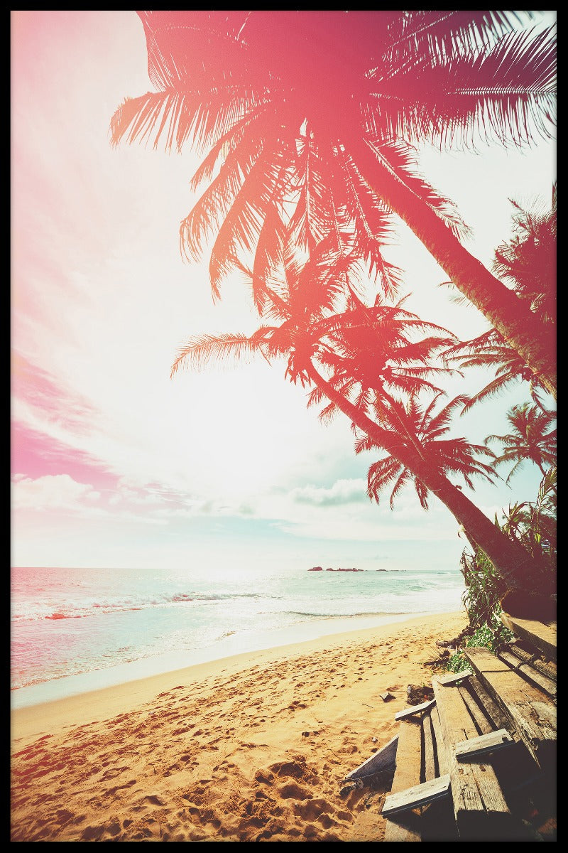  Strand palmboom poster