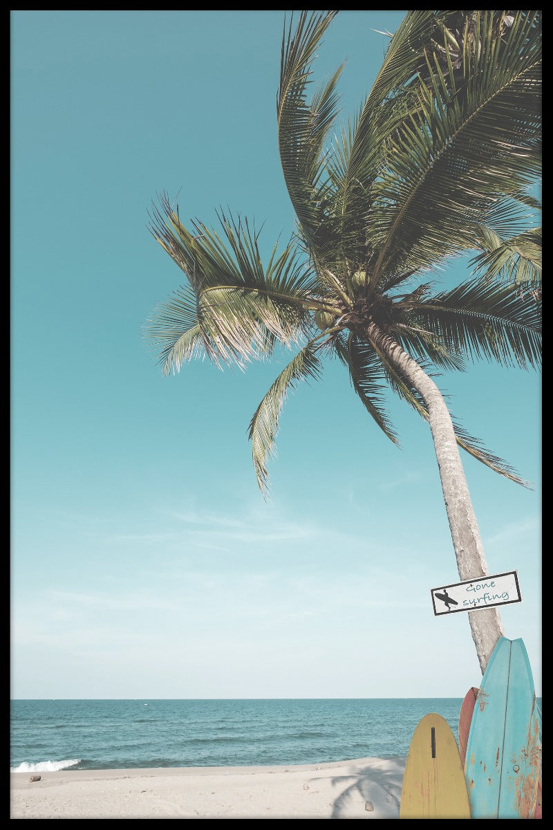  Surf Beach Palm-poster