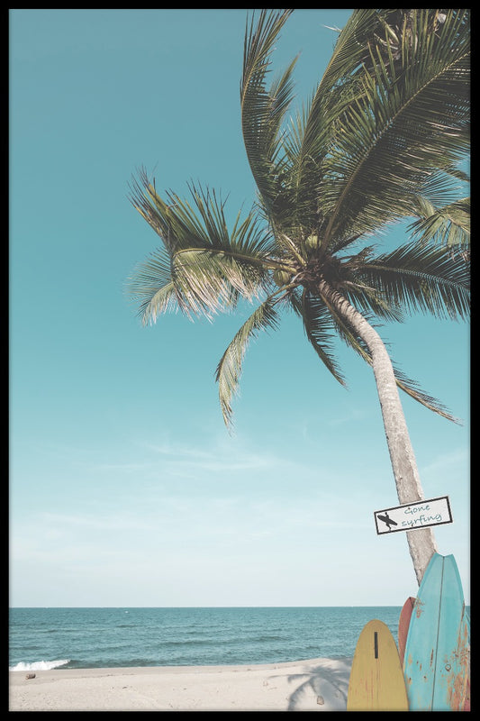  Surf Beach Palm-poster