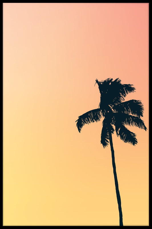  Retro zonsondergang palm poster