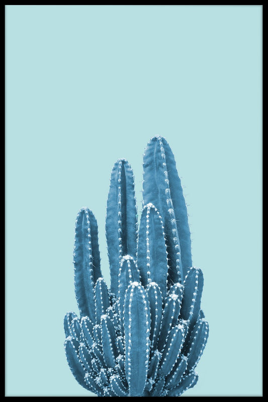  Cactus op blauwe poster