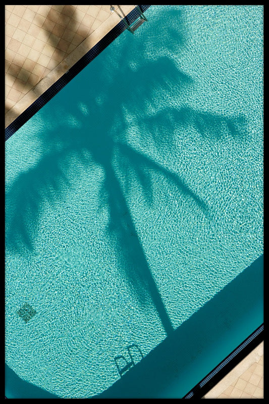  Palm Shadow-poster