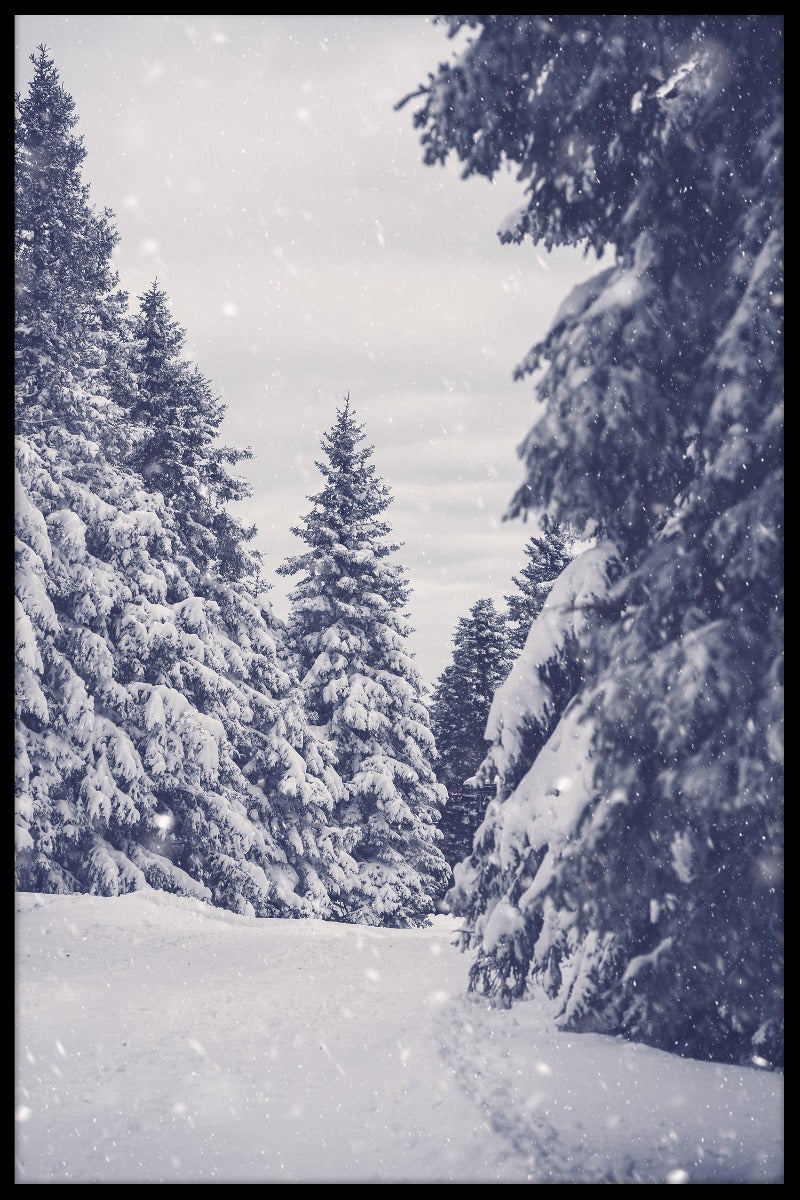 Winter sneeuw bos poster