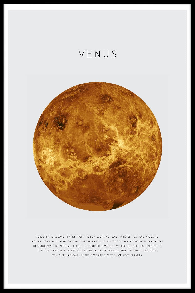  Venus-posters