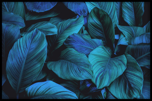  Tropische blauwe affiche