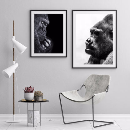  Gorilla Portret zwart-wit poster
