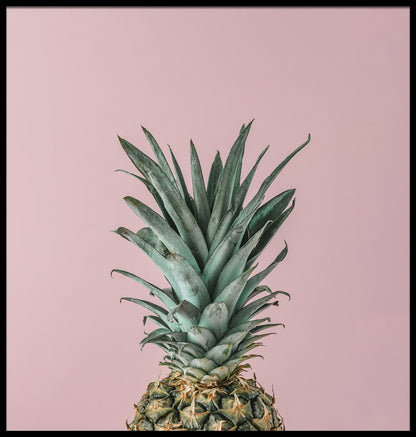 Rijpe ananas roze poster als achtergrond